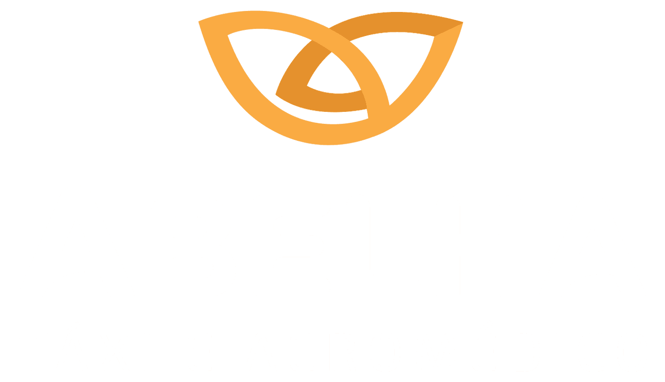 Abelha Táxi Aéreo e Manutenção